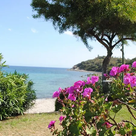 Delle Rose Sulla Baia Di Porto Frailis