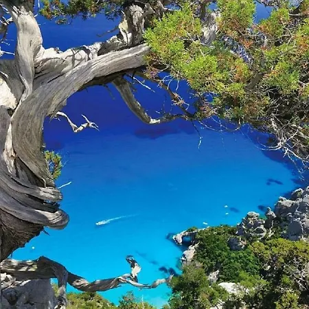 Delle Rose Sulla Baia Di Porto Frailis
