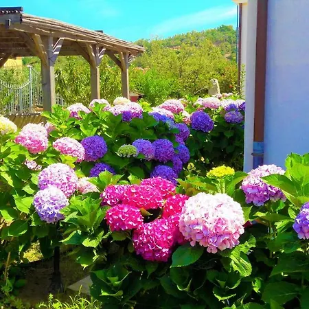 Delle Rose Sulla Baia Di Porto Frailis *