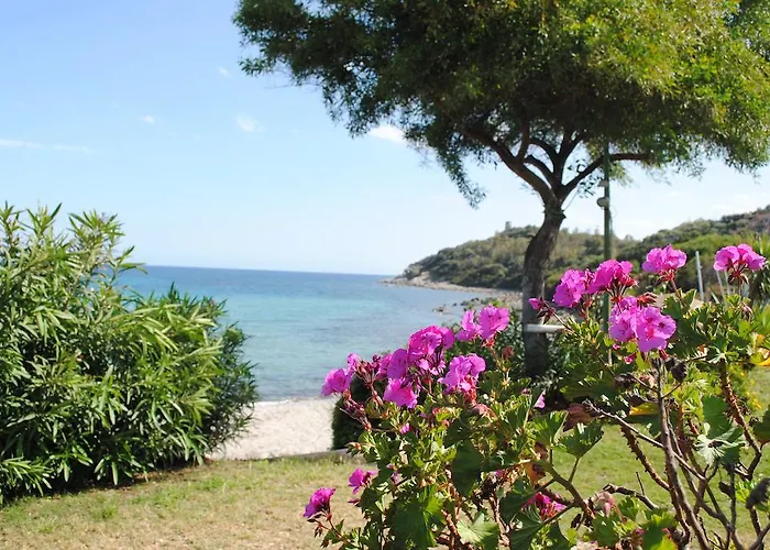 Delle Rose Sulla Baia Di Porto Frailis