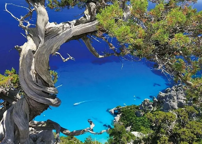 Delle Rose Sulla Baia Di Porto Frailis